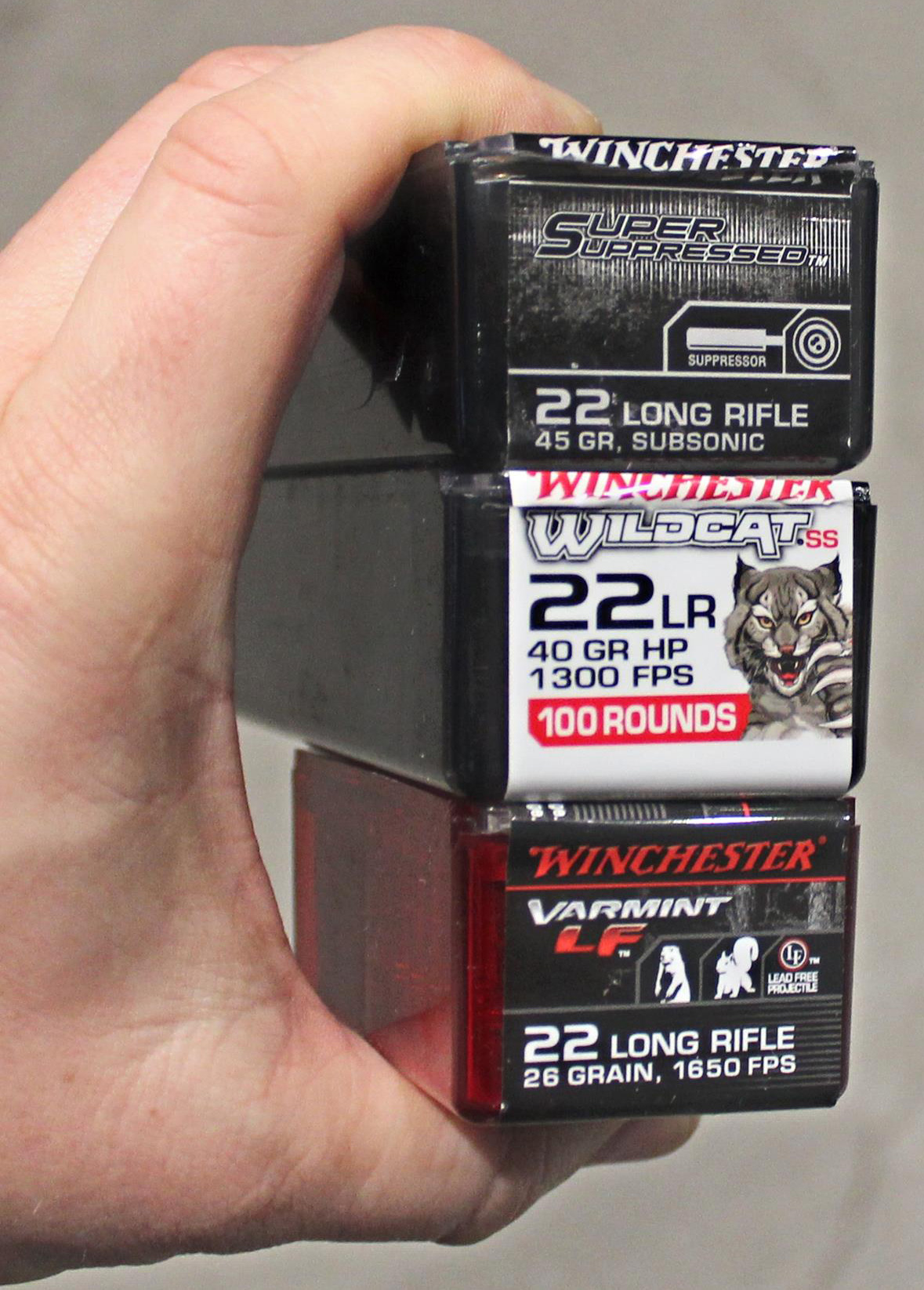 Do .22 LR Rifles Make Sense for Home Defense?