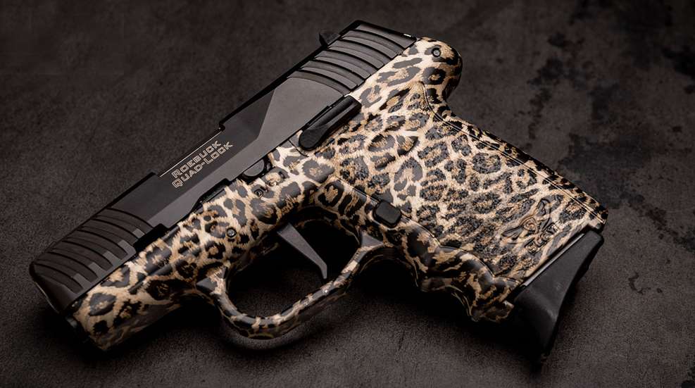 Davidsons Sccy Dvg Cheetah Lede (1)