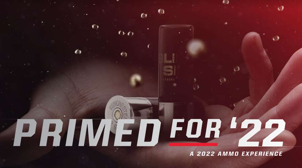 Winchester Primed For 22