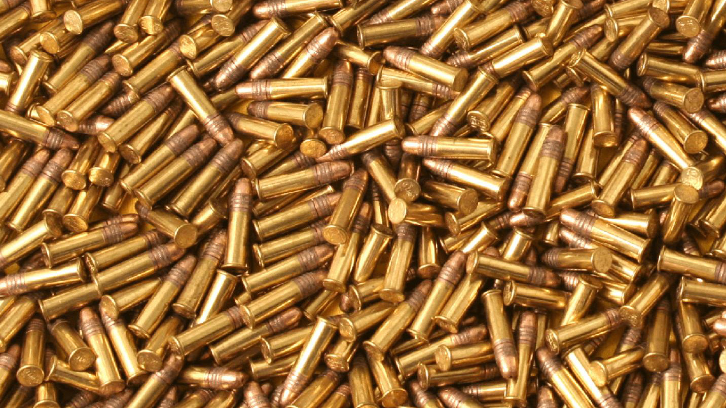 Do .22 LR Rifles Make Sense for Home Defense?