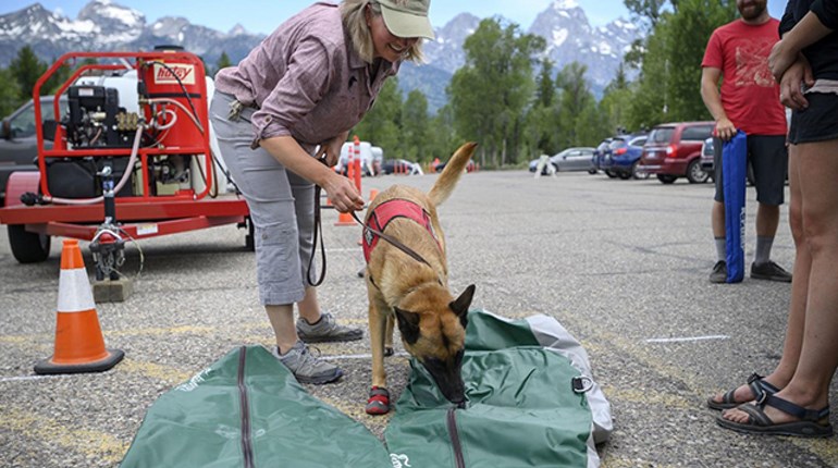NRA Women | How Woman's Best Friend Can Save Wild Sheep ... in the Weirdest Way