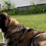 Lights, Camera, Action: 3 Daily Activities to Reinforce Home Defense