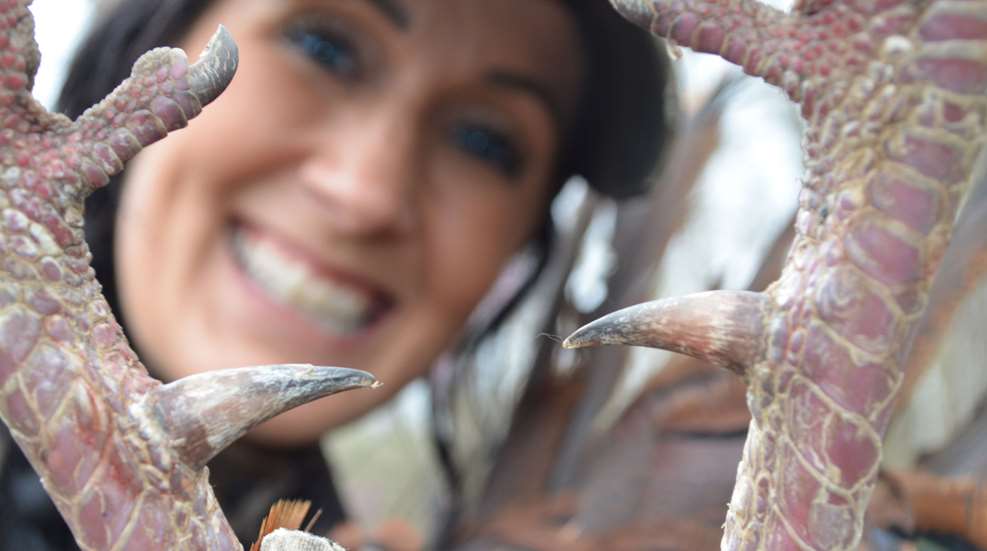 Taking Great Turkey Pix Spurs