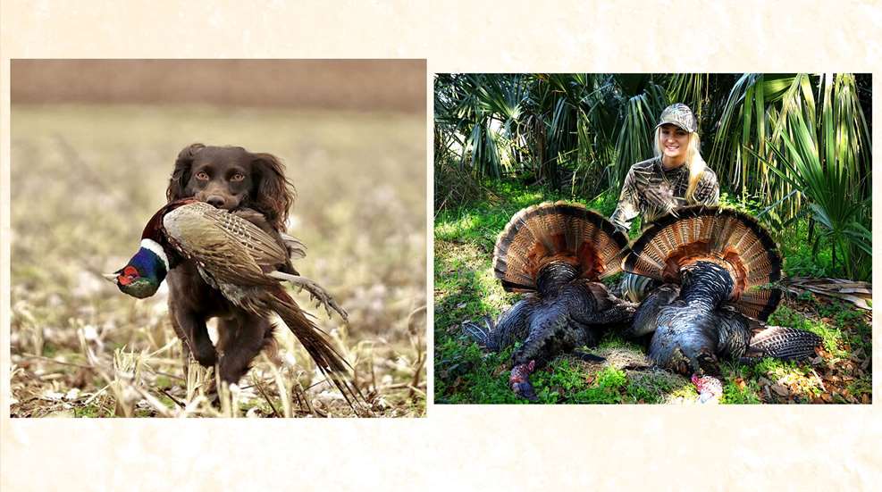 Boykin Spaniel Photo By Ashley Ammons Turkey Grand Slam Photo By Robby Brooks