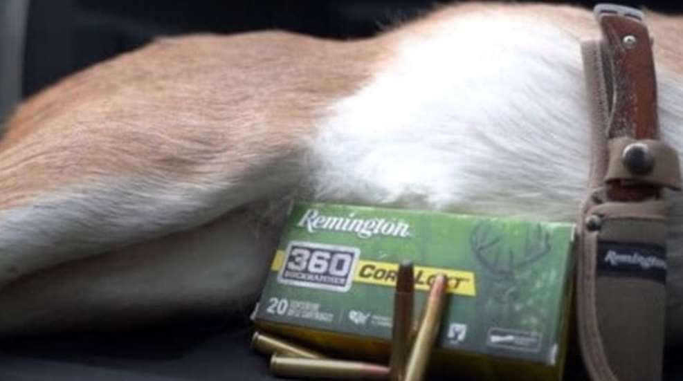 Remington 360 Buckhammer