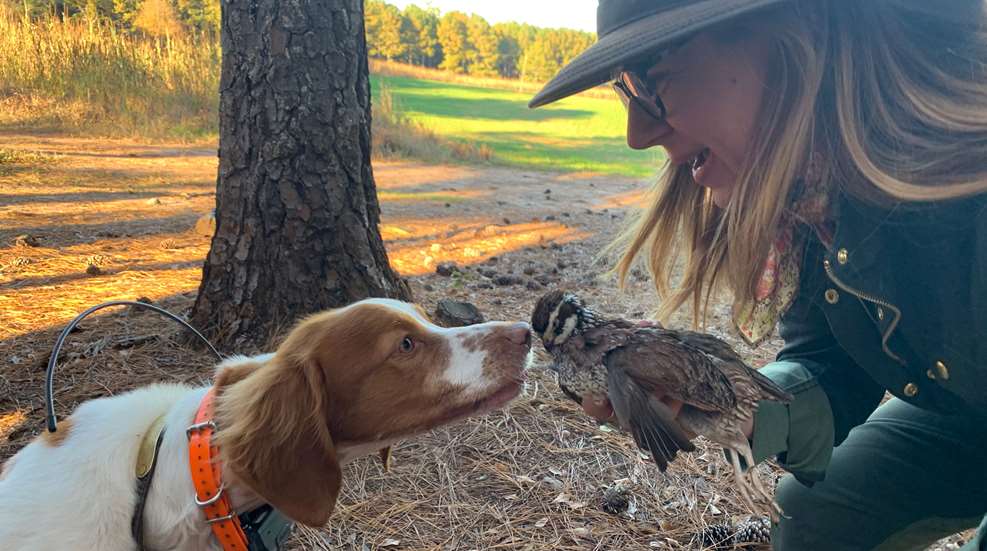 Woman With Brittany And Quail