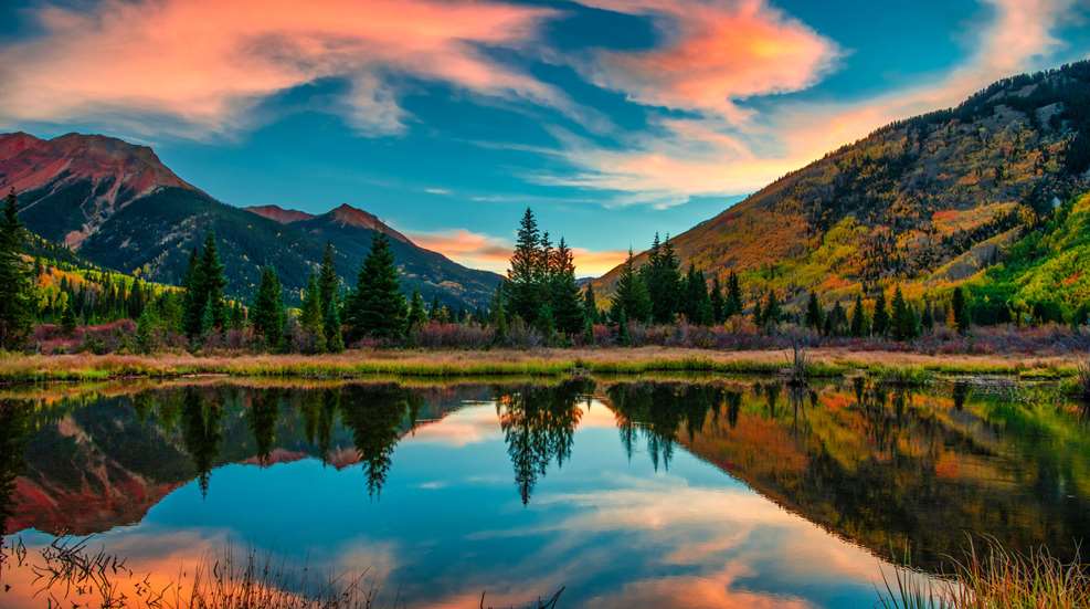Wilderness