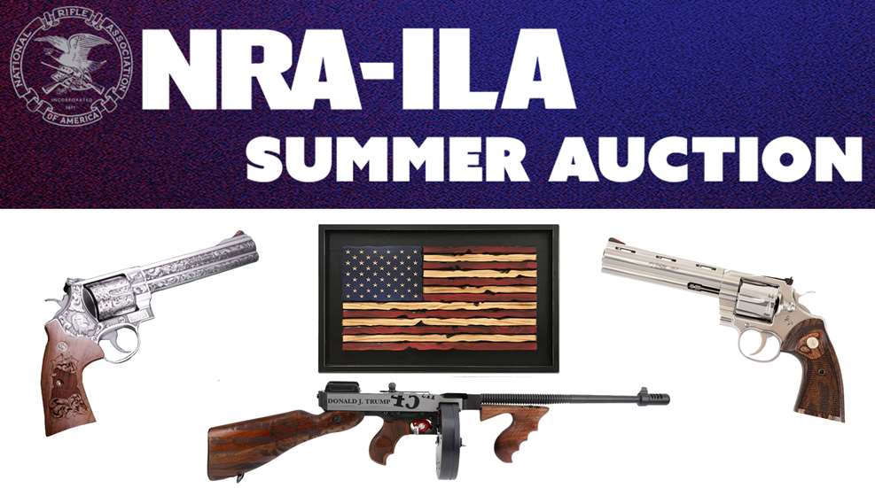 NRAILA Summer Auction