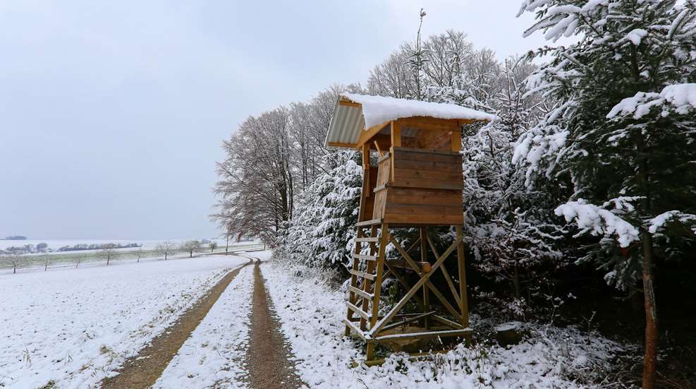 Cold Weather Hunt Blind In Snow