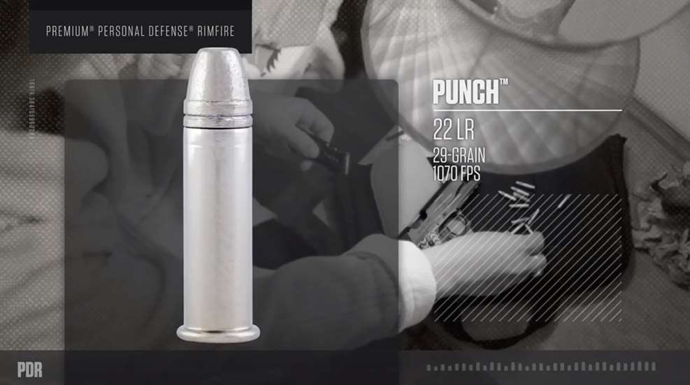 Federal Punch 22 Lr