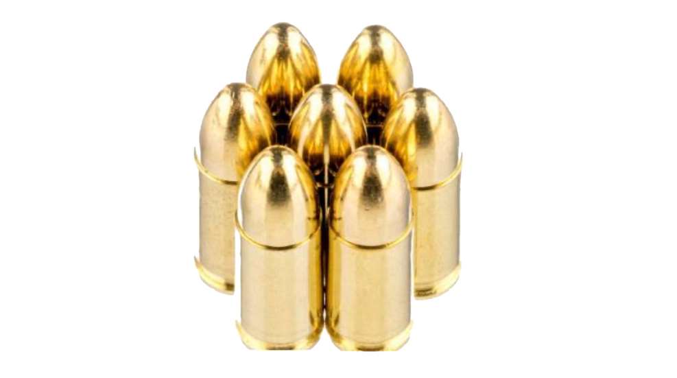 Wlf Auction Ammo Case