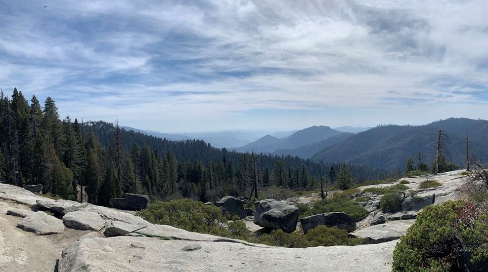 Sequoia Beetle Rock