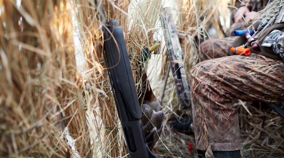 Duck Hunting Main
