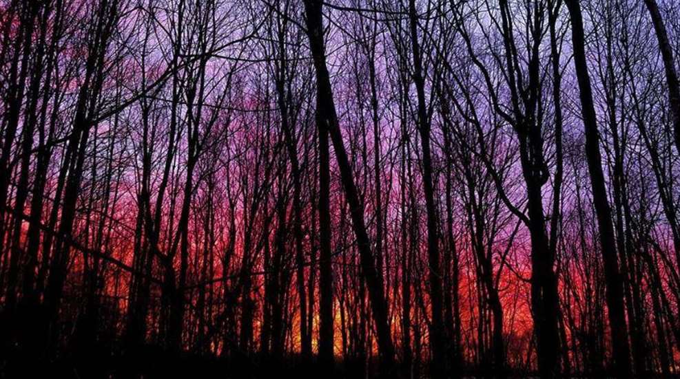 Helgeson Hunting Land 2