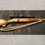 Firearm Terminology: Rifle and Shotgun Stocks