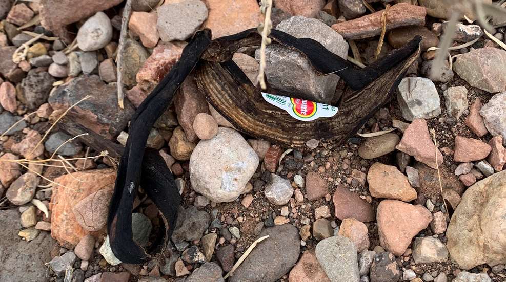 Biodegradable Litter