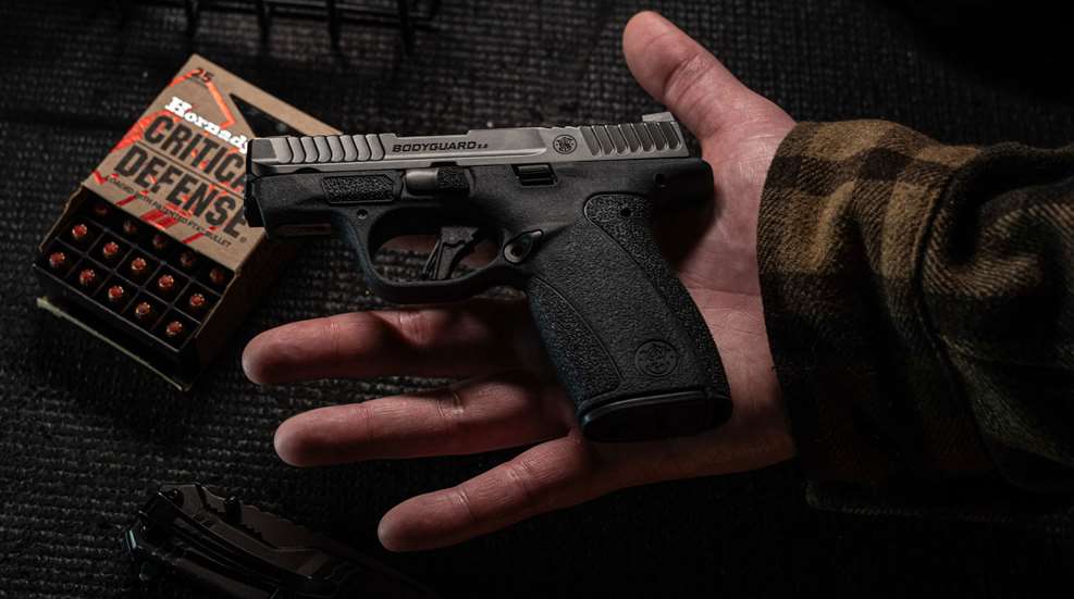 Sw Bodyguard Pistol 2