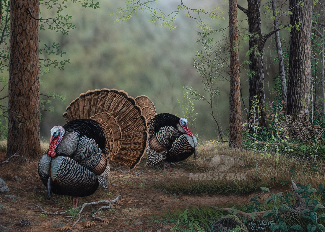 NRA Women | Mossy Oak Launches Inaugural Wild Turkey Stamp