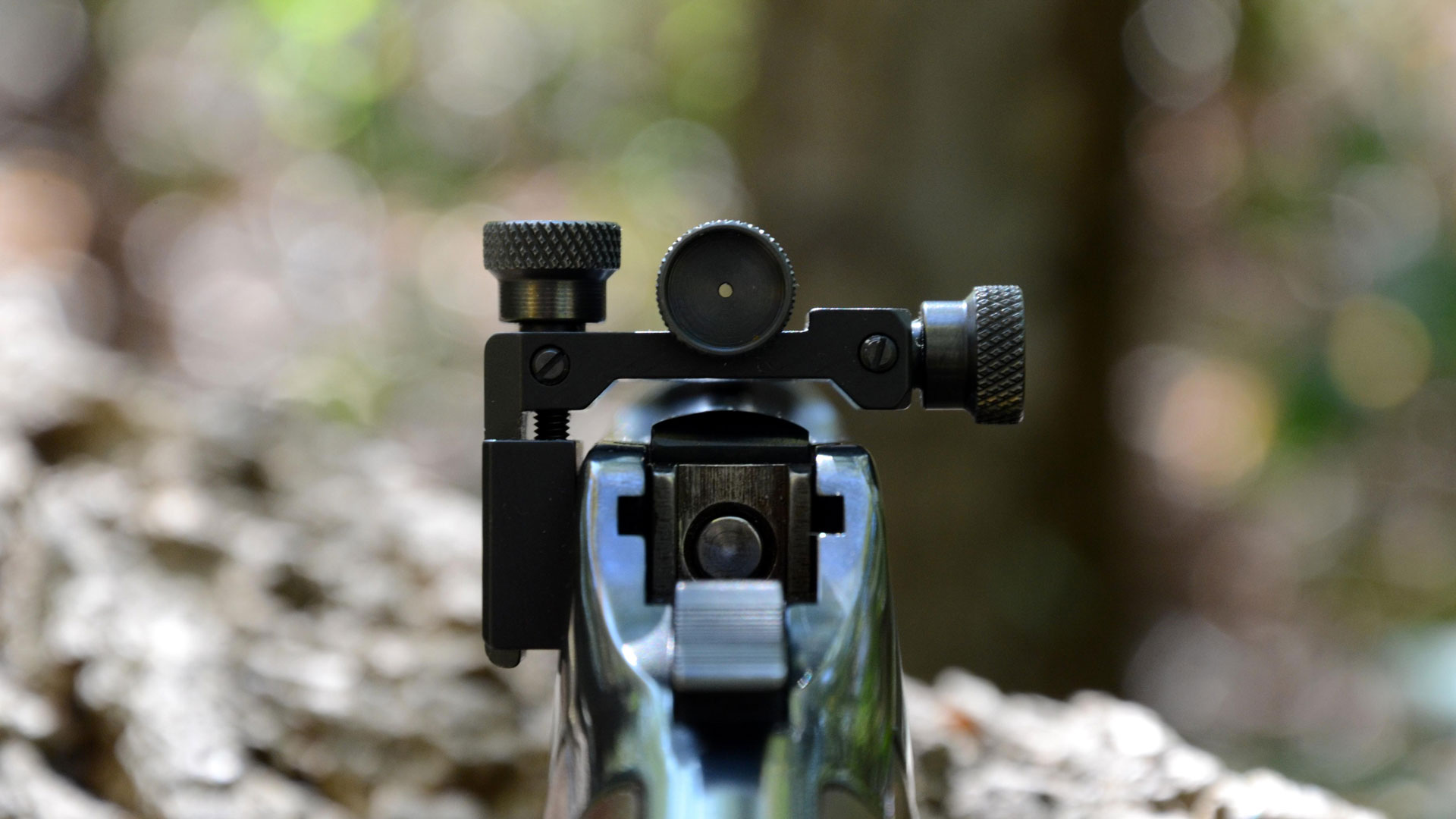 Get This Report on Bullseye! - How To Sight In A Riflescope