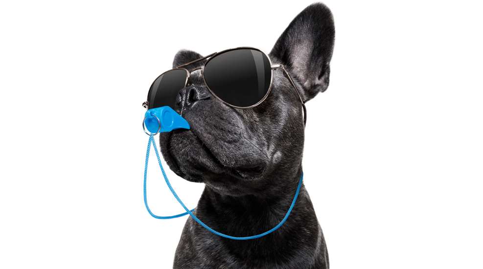 Dog with whistle in its mouth