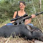 Melloni Pig Hunt Lede