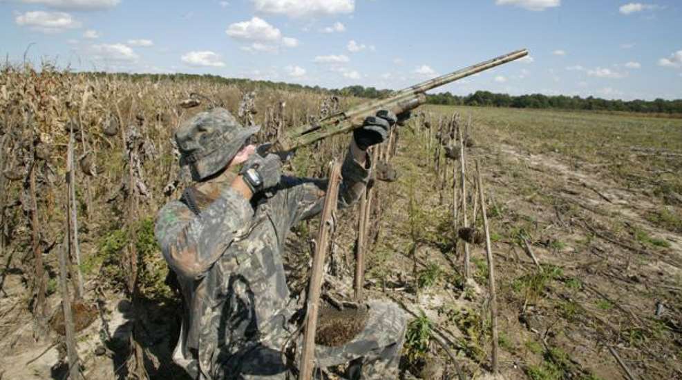 Rao Baited Field Lede
