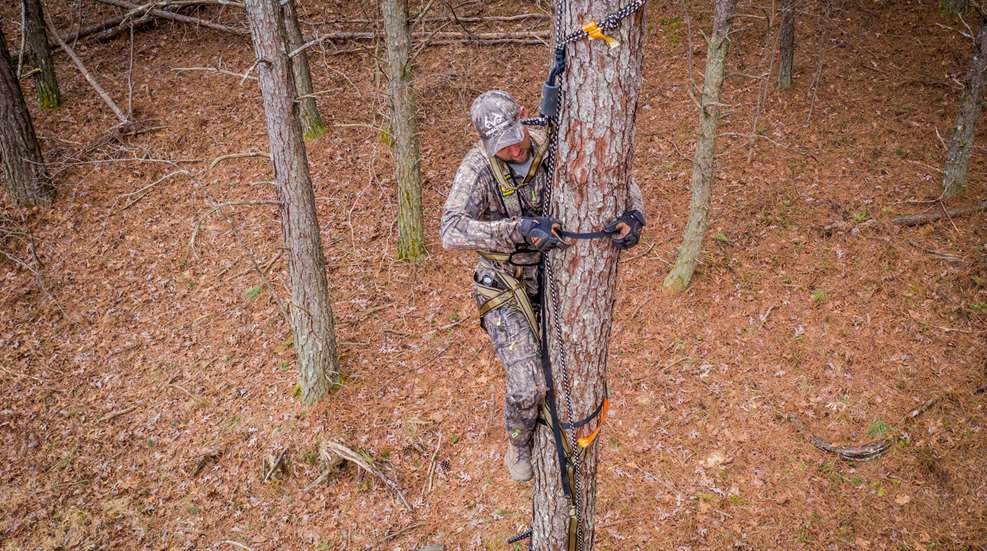 Deering Safety Harness