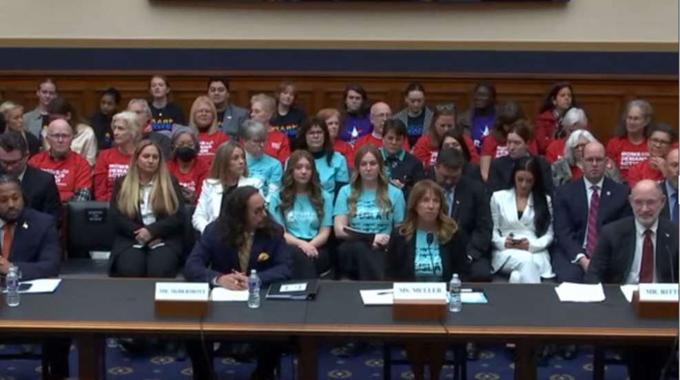 Women For Gun Rights Diana Muller Testifies