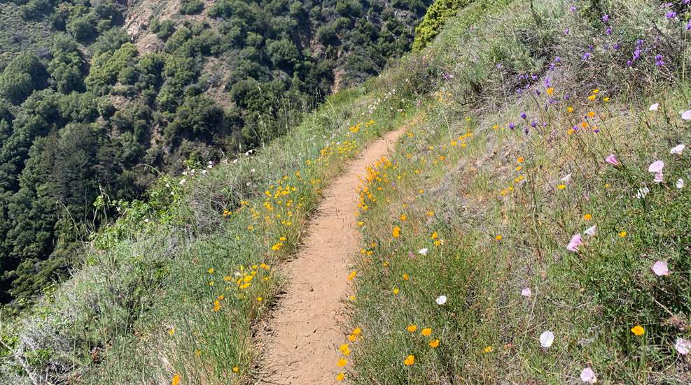 Trail Etiquette Lead