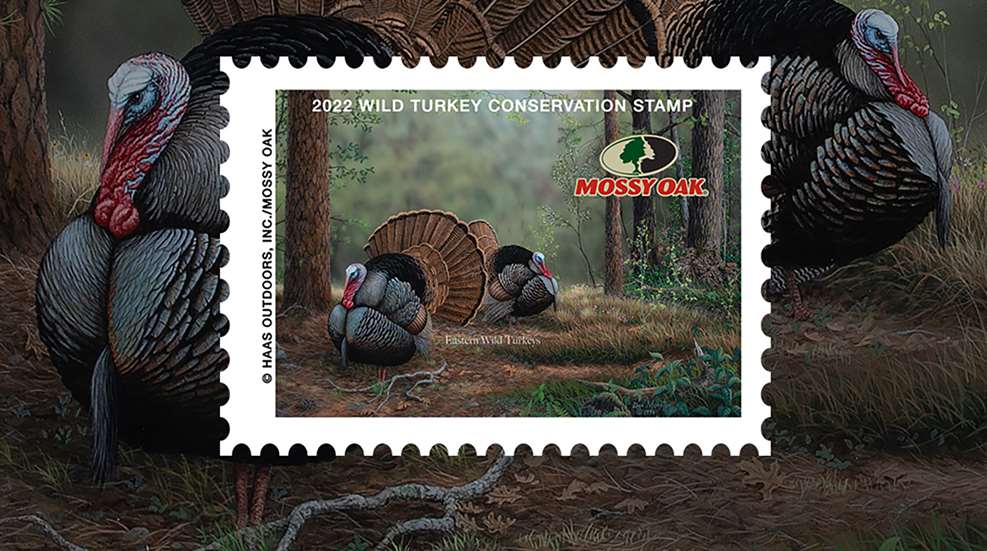 Turkey Stamp