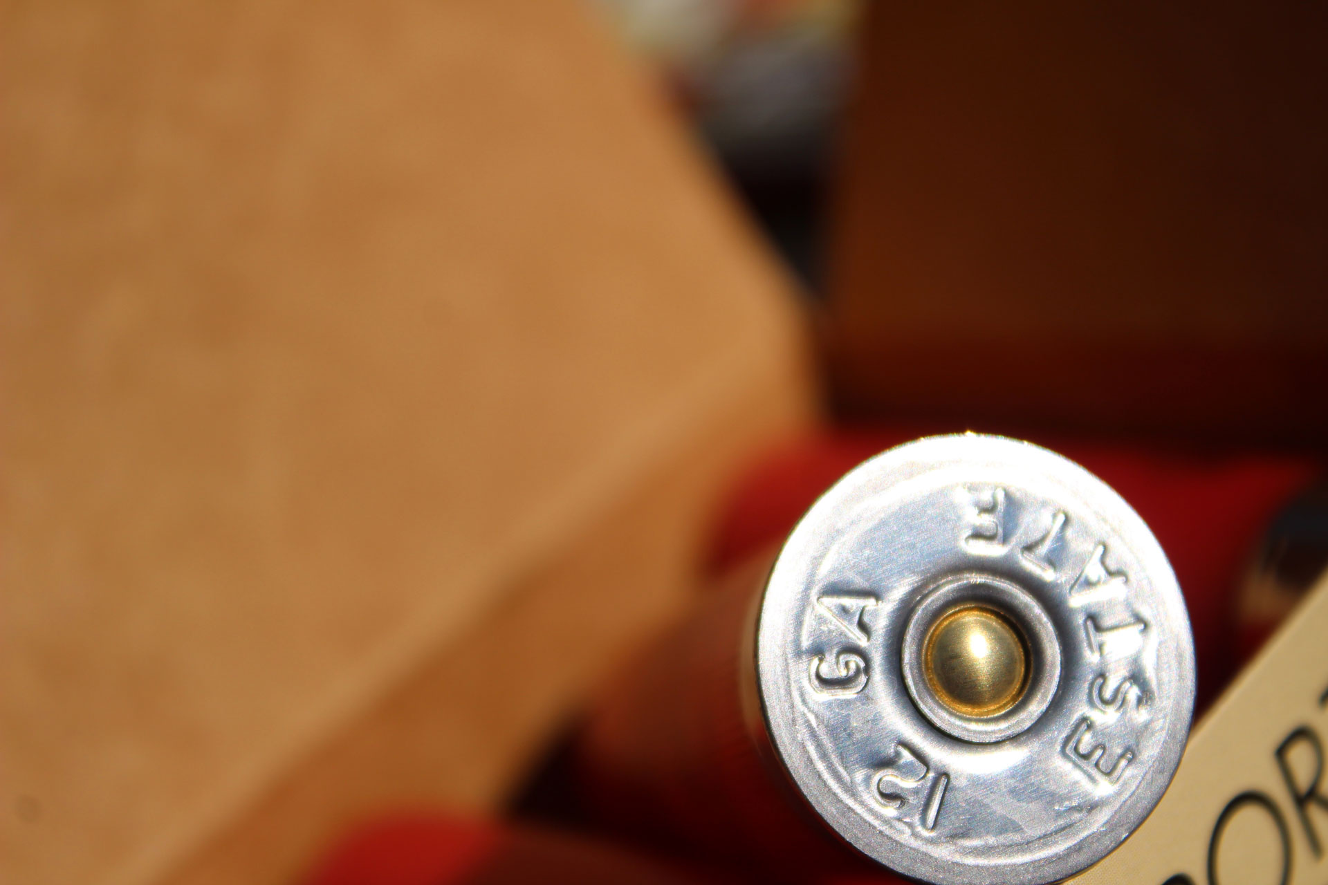 What’s In a Shotshell?