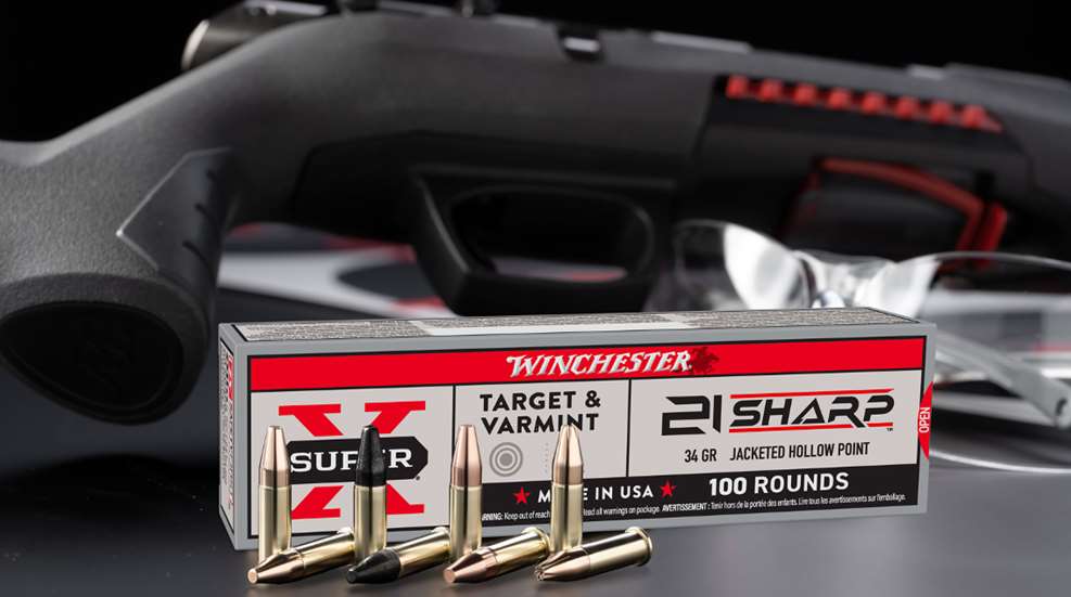 Winchester 21 Lede
