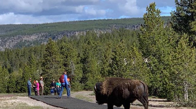NRA Women | Viewing Party: 3 Rules to Follow When Observing Wildlife