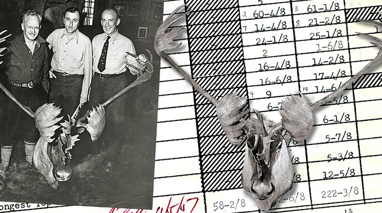 NRA Women | If You Want a Record Tag—Know the Rules